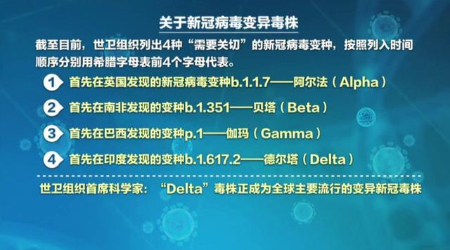 关于2024年11月份新病毒，审慎释义、解释与落实的探讨