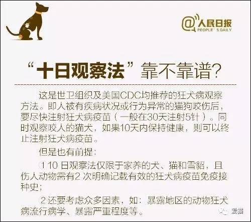 新澳2024年最准确最快资料与诚实的释义，解释并落实