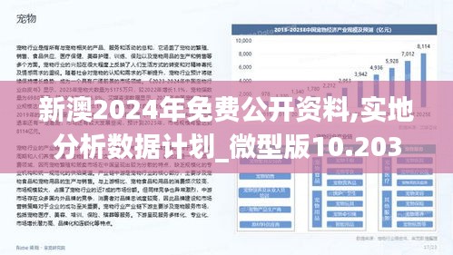 迎接新篇章，探索2024年新澳资料免费公开之路，深化供应释义与落实策略