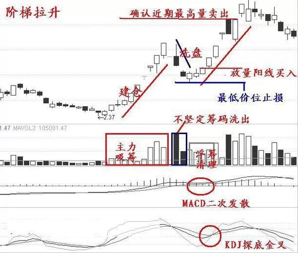 2024新澳门天天开奖攻略，深度解读与实战策略