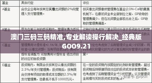 新澳门三中三码精准100%，新技释义解释落实的重要性与策略探讨