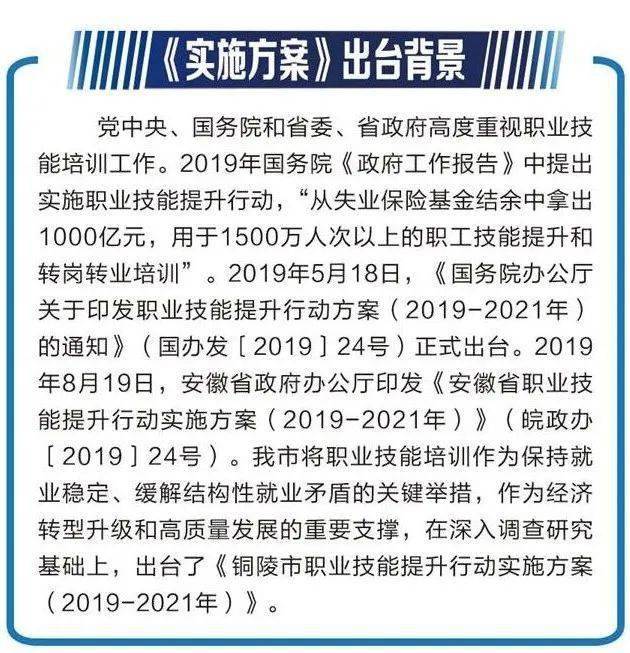 新澳门正版精准免费大全，释义解释与落实策略探讨