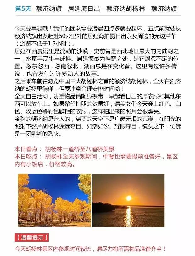 澳门天天彩期期精准龙门客栈与权能释义，探索与落实