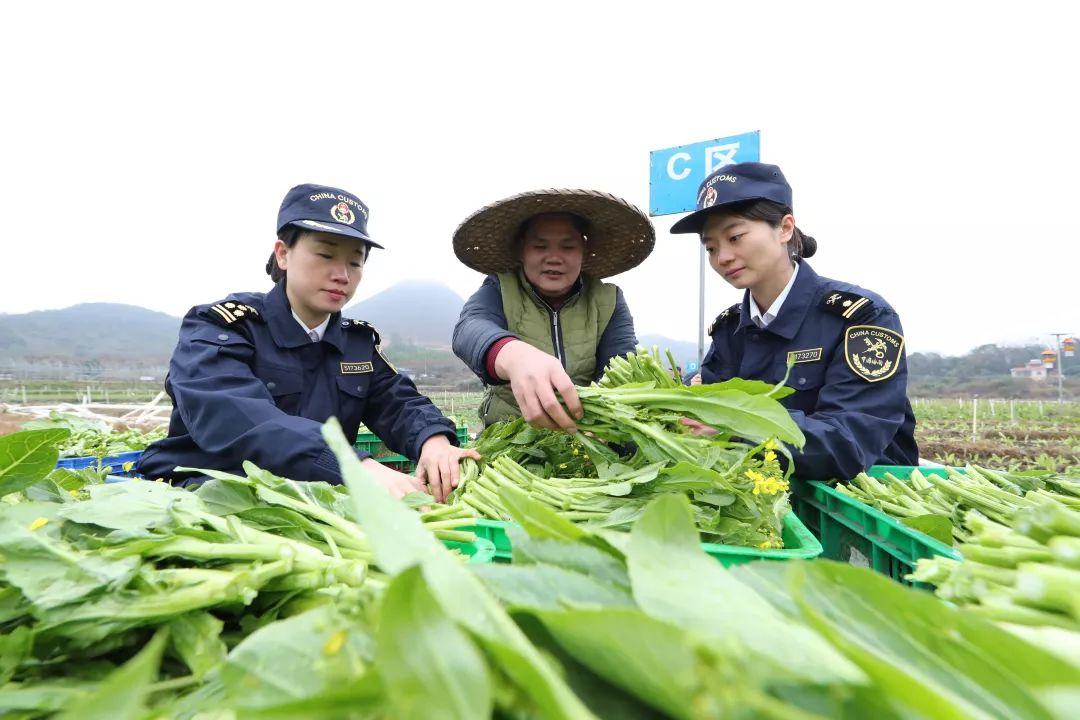 澳门今晚开奖结果，层级释义解释落实的重要性与深度洞察