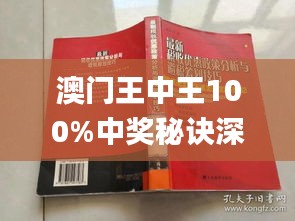 澳门王中王与心计释义，深入探究与实际应用