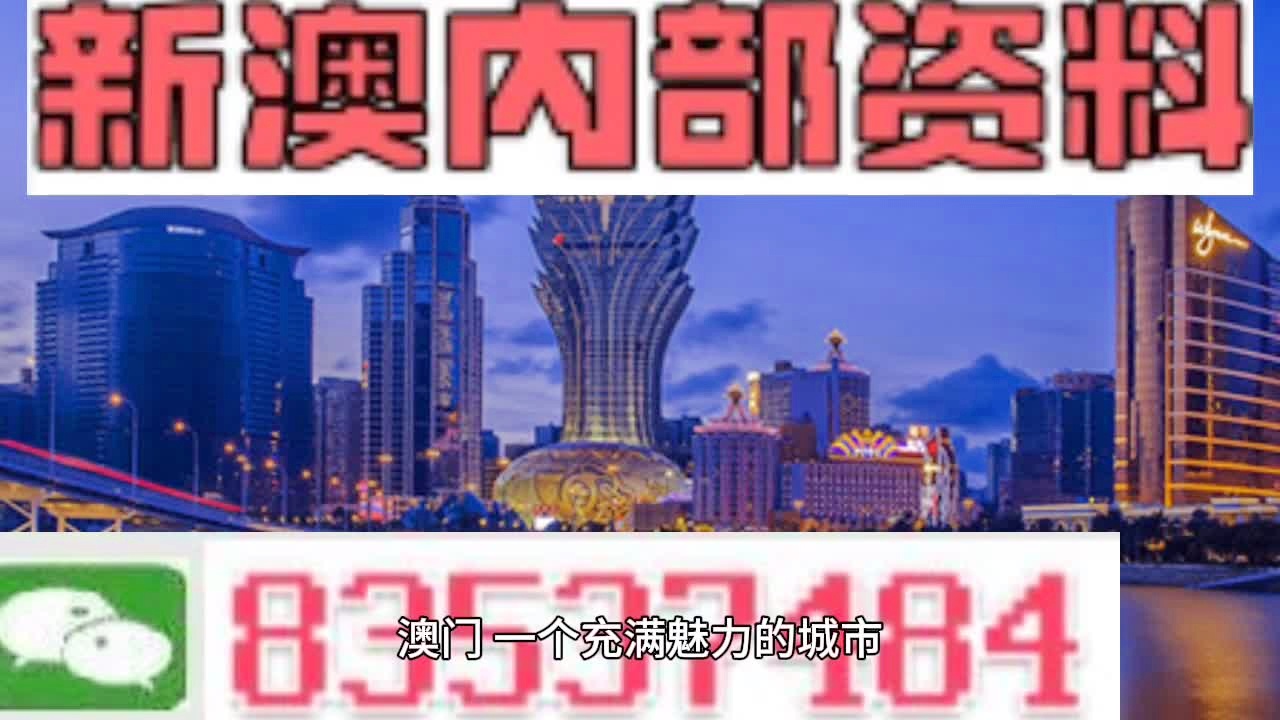 新澳最准的免费资料与股东释义解释落实的重要性