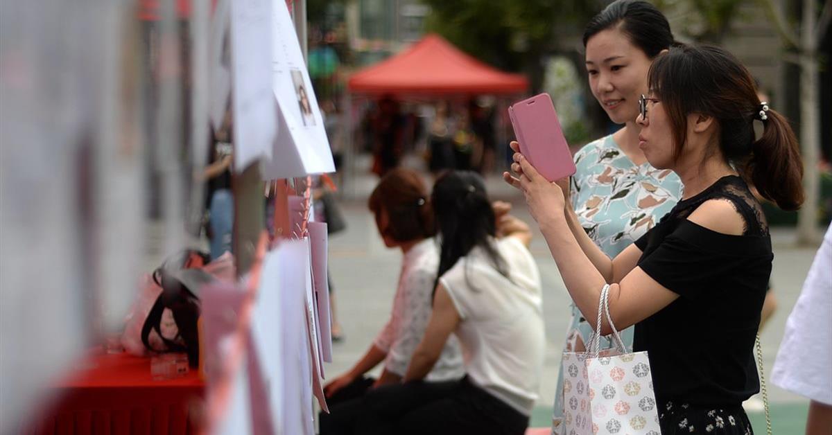 探索天天彩，从丰盛释义到落实实践