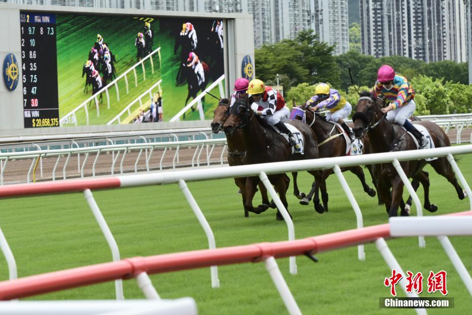 关于香港特马活动的探讨与解释——落实与讨论的重要性