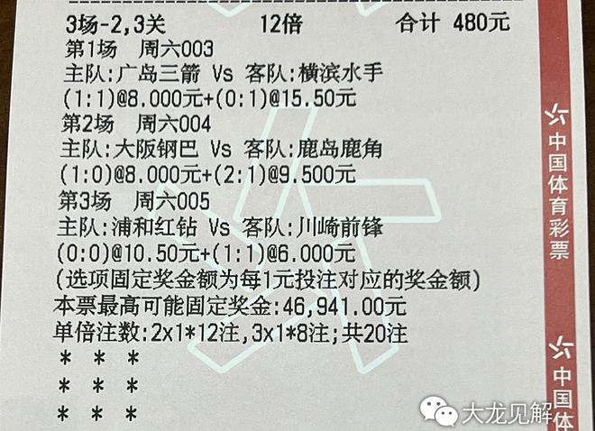 新澳门天天开好彩背后的福利释义与落实挑战——一个值得深思的社会现象