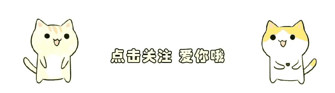 揭秘未来生肖运势，神机释义下的生肖预测与解读（以2024年今晚9点30为例）