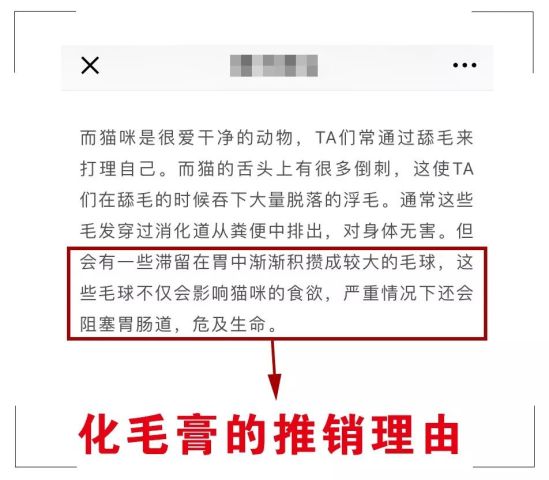 揭秘新澳历史开奖记录与营销释义的落实之道