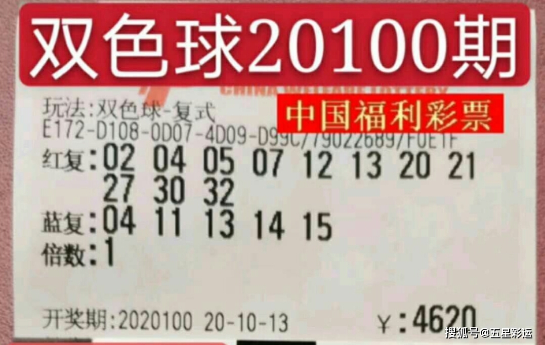 2024年澳门今晚开奖号码与香港记录的交融，快捷释义、解释与落实