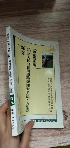 探索数字世界中的王中王开奖十记录网，迭代释义解释与落实策略