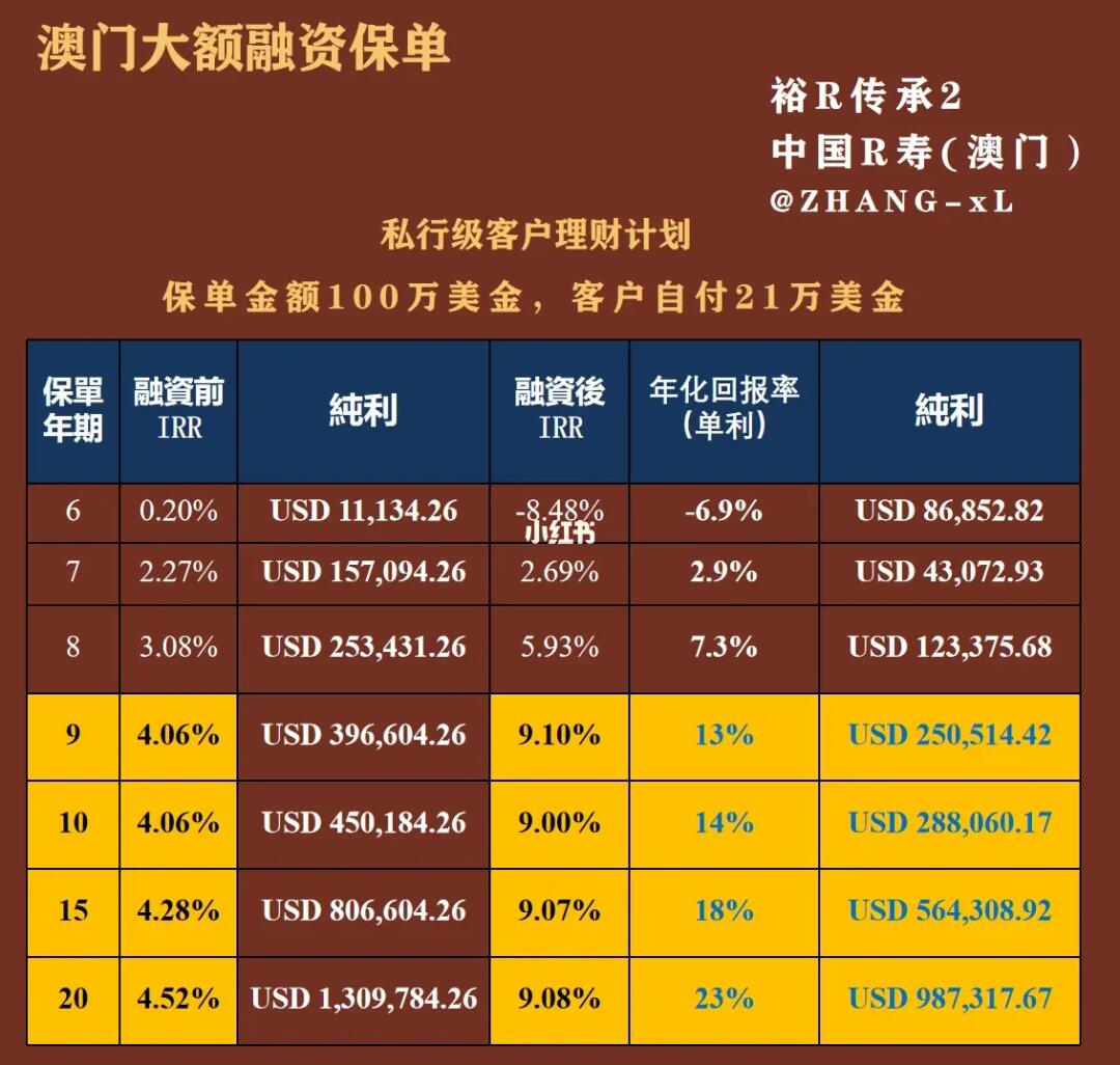 新澳门天天资料与创投释义解释落实详解