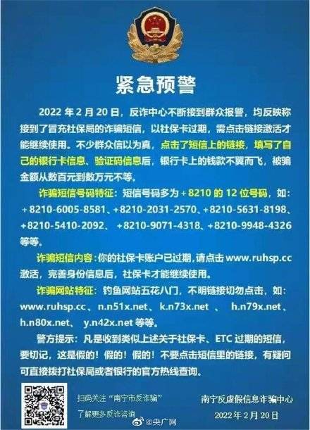 一码一肖一特马报，案例释义、解释与落实的重要性