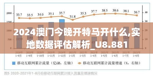 澳门今晚开特马，安全释义解释落实的重要性