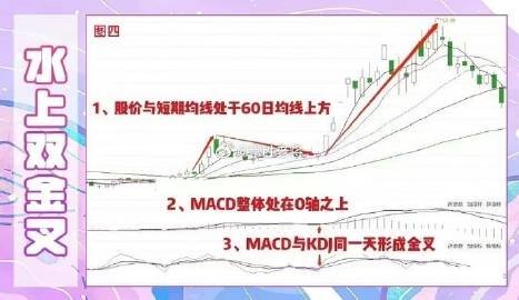 新澳门一码一码，准确性与迅捷性的释义、解释与落实