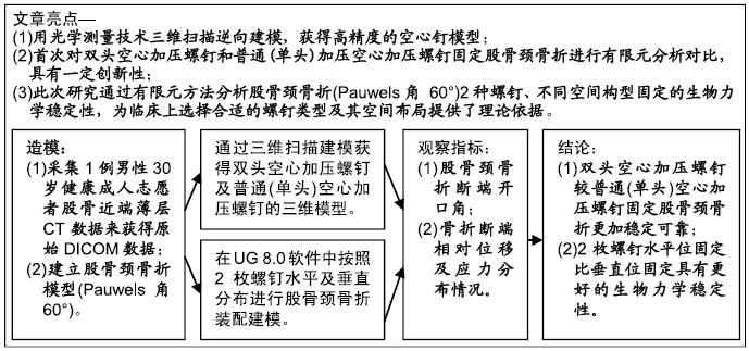 探索力学奥秘，解读力学释义与落实策略