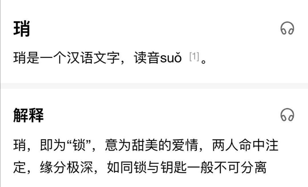 澳门一码一肖一待一中四不像，详细释义与解释落实