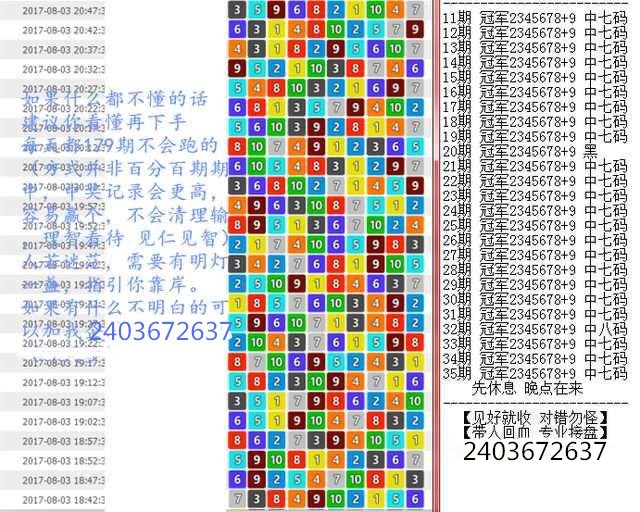 澳门王中王与尖峰释义，探索期期中一期的深层含义与实践落实