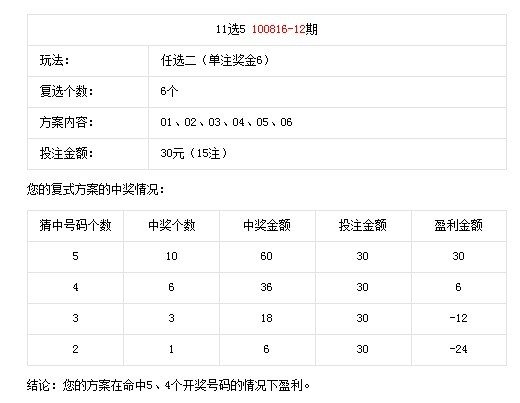 一肖一码，揭秘中奖概率与收益，以释义解释落实