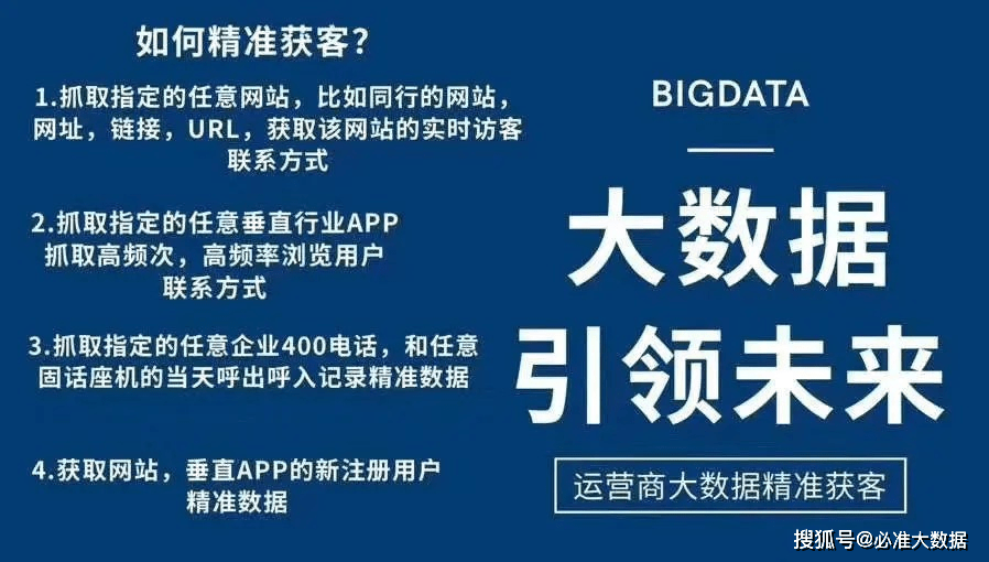 2025新澳精准正版资料与智能释义解释落实的深度解析