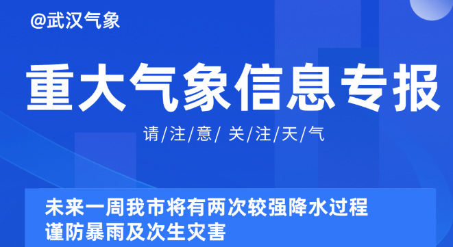 探索未来，2025新奥正版资料的免费共享与持续努力的意义落实