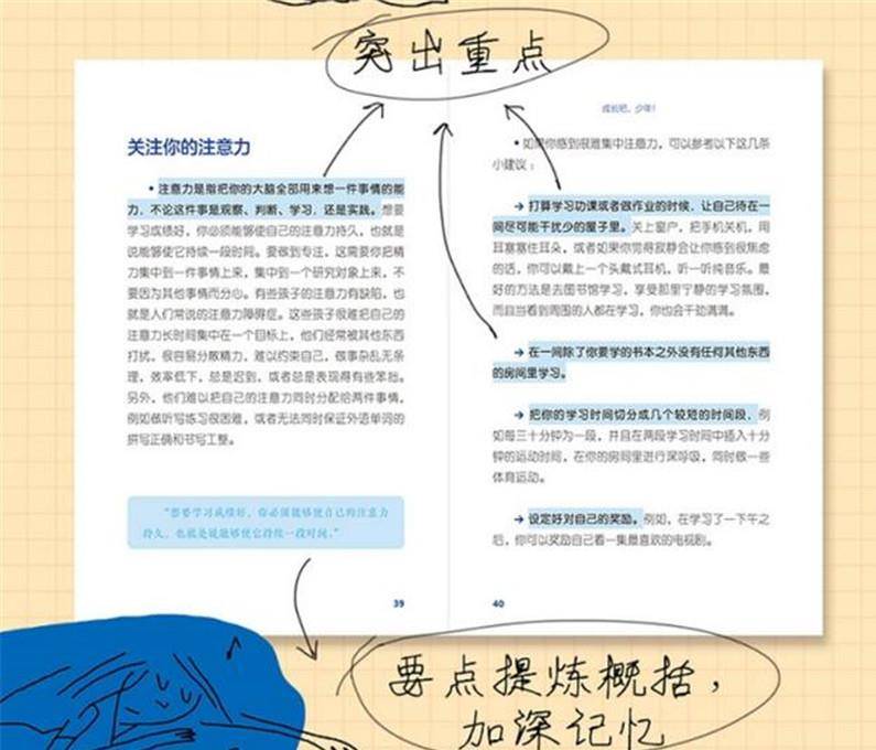 管家婆一肖一码一中，性执释义解释落实的重要性与策略