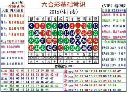 关于十二生肖与数字编码的关联——以十二生肖49码表为例，探讨进度释义、解释与落实的重要性