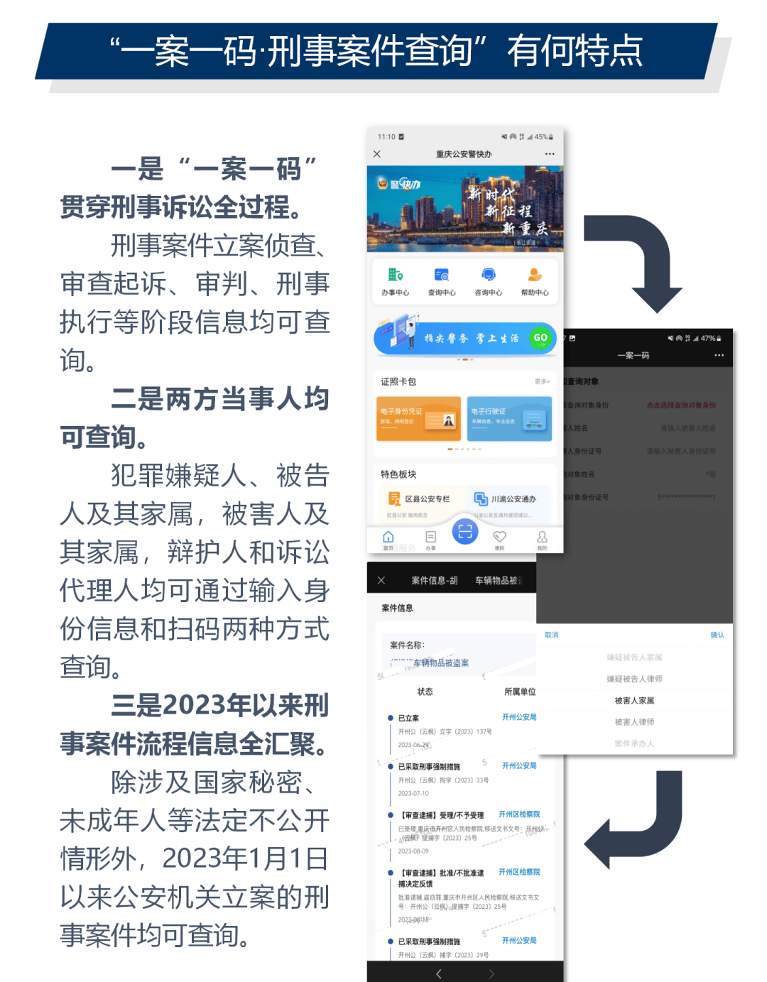 一肖一码，权威释义、精准资料与落实的重要性