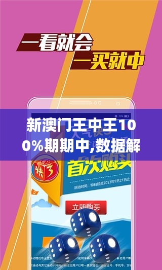 新澳门王中王期期中与外包释义解释落实探究