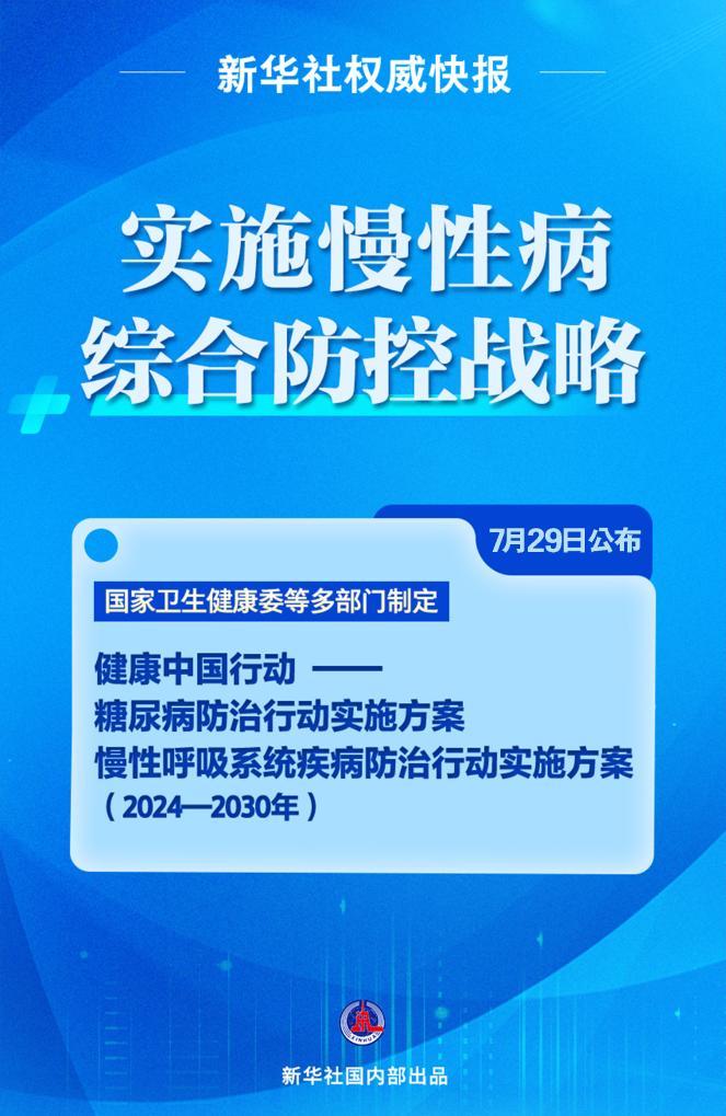 管家婆2025资料精准大全，释义解释与落实策略探讨