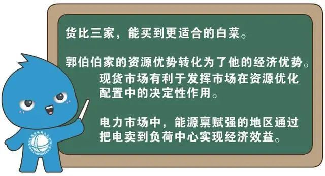 天下彩，图文资料的深度解读与落实行动