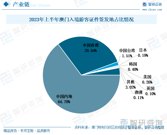 澳门王中王100%的资料解析与落实策略探讨（面向未来至2025年）