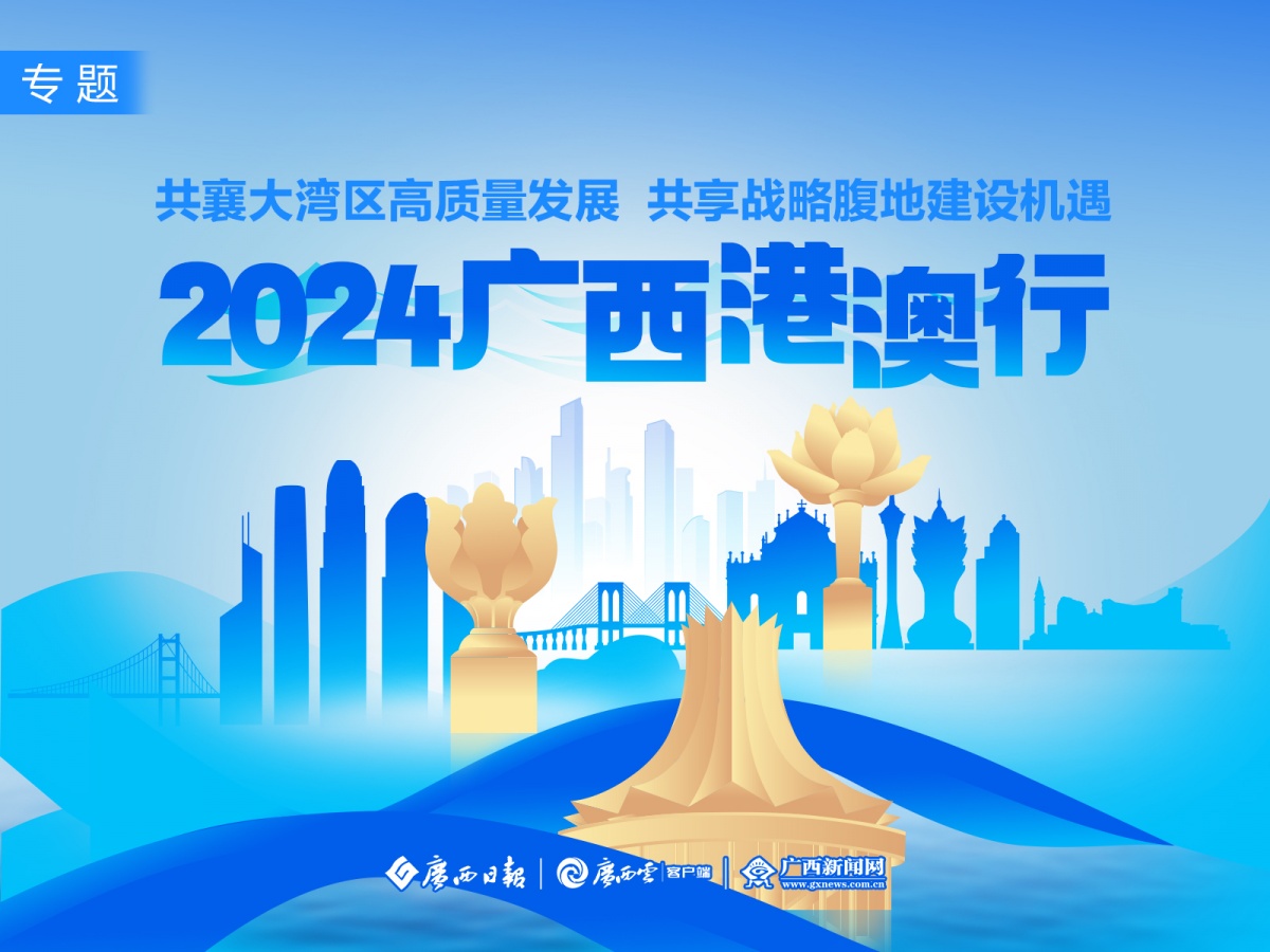 新澳2025年精准资料大全，破冰释义与行动落实详解