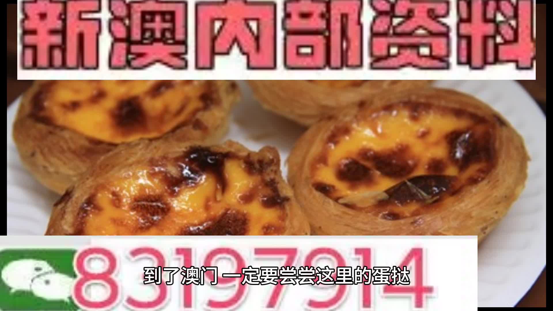 新澳门资料大全正版资料与奥利奥，释义解释与实施的探索