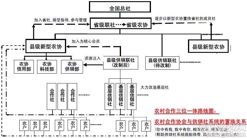 新澳准资料免费提供与综合释义解释落实的重要性