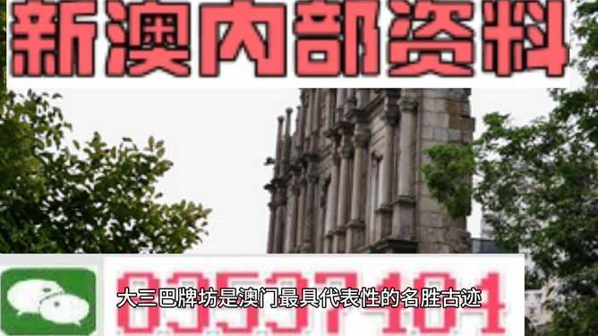 新澳门内部精准资料与良师释义，深度解析与落实策略