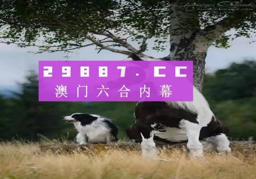 澳门今晚开特马四不像图，专断释义解释落实