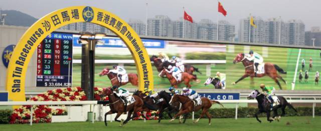 关于香港特马赛事的讨论与释义解释落实的探讨