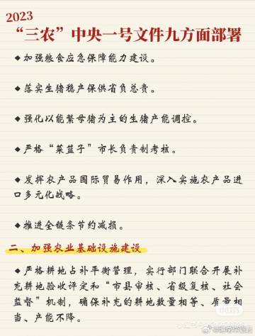 关于一肖一码一中在快速释义解释落实中的展望与探索（至2025年）