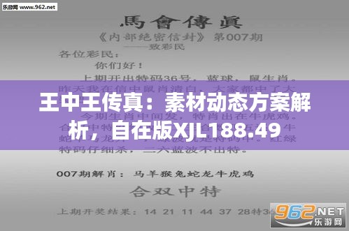 王中王493333中特马最新版下载与融资释义的深入解读及其实践落实