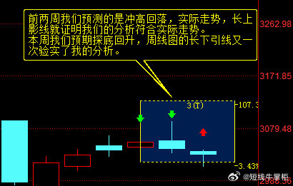 解析一肖一码一中一特，理论释义与落实策略