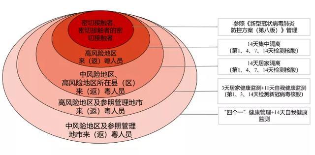 澳门与香港的发展释义，开奖号码背后的区域振兴策略与实施