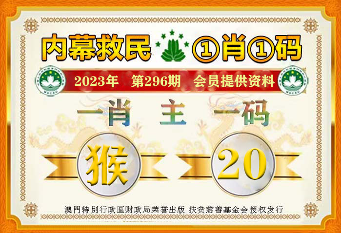 一肖一码100%准资料，合理释义、解释与落实