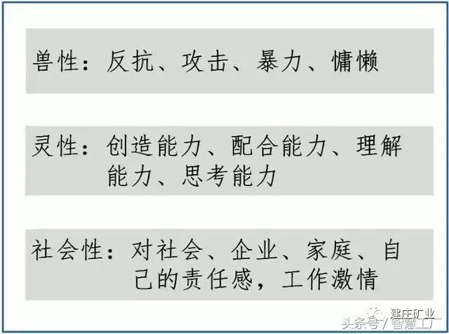 解析决策释义解释落实，王中王中特与数字7777788888的力量