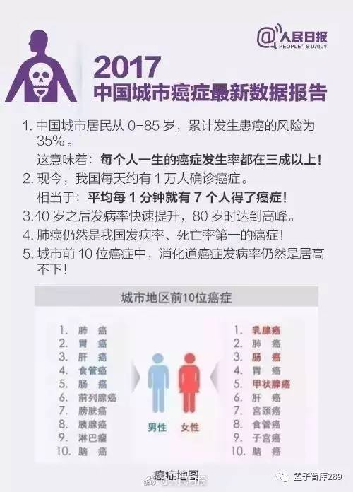 管家婆八肖版资料大全与勤奋释义，实践中的努力与智慧的融合