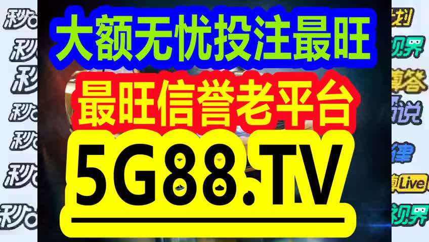 管家婆一码一肖100准，深度解析与实际应用