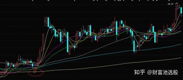 关于精准跑狗图正版与透彻释义解释落实的深度解析