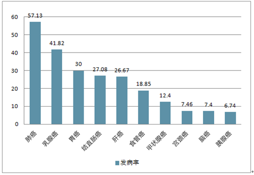 迈向未来，探索2025全年資料免費大全的優勢及其实施策略